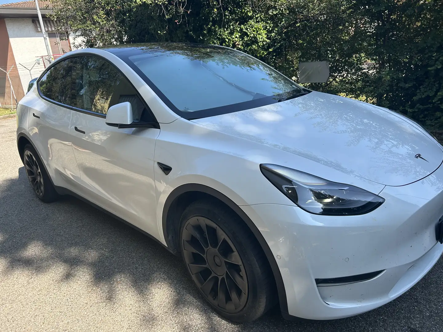 Tesla Model Y Dual Motor AWD - 2