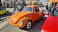 Volkswagen Maggiolino 1.3 vetro piatto - thumbnail 4