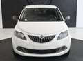 Lancia Ypsilon Ypsilon 1.0 firefly hybrid Silver s Blanc - thumbnail 2