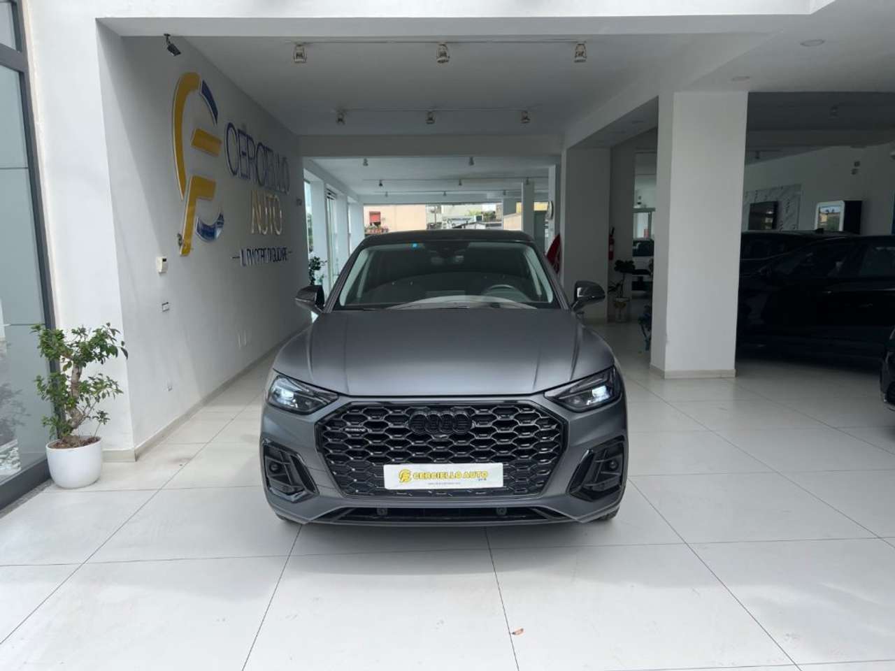 Audi Q5 SPB 40 TDI quattro S tronic S line plus tua da€5