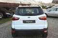 Ford EcoSport 1.0 EcoBoost 100 CV Plus Wit - thumbnail 6