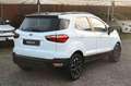 Ford EcoSport 1.0 EcoBoost 100 CV Plus Wit - thumbnail 5