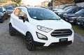 Ford EcoSport 1.0 EcoBoost 100 CV Plus Wit - thumbnail 3