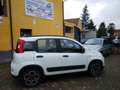 Fiat Panda 1.0 FireFly S&S Hybrid City Life- KM 23.000!! PRAT Blanc - thumbnail 6