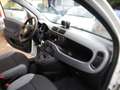 Fiat Panda 1.0 FireFly S&S Hybrid City Life- KM 23.000!! PRAT Blanc - thumbnail 13