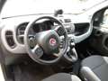 Fiat Panda 1.0 FireFly S&S Hybrid City Life- KM 23.000!! PRAT Blanc - thumbnail 9