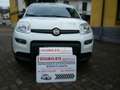 Fiat Panda 1.0 FireFly S&S Hybrid City Life- KM 23.000!! PRAT Blanc - thumbnail 1