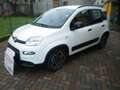 Fiat Panda 1.0 FireFly S&S Hybrid City Life- KM 23.000!! PRAT Blanc - thumbnail 4