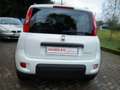 Fiat Panda 1.0 FireFly S&S Hybrid City Life- KM 23.000!! PRAT Blanc - thumbnail 7