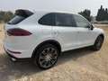 Porsche Cayenne Diesel Aut. Blanco - thumbnail 4