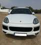 Porsche Cayenne Diesel Aut. Blanco - thumbnail 2