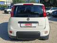 Fiat Panda Panda III 2021 1.0 firefly hybrid City Life s Bianco - thumbnail 6