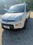 Fiat Panda Panda III 2021 1.0 firefly hybrid City Life s Bianco - thumbnail 3