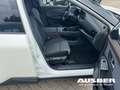 Nissan X-Trail N-Connecta e-4orce 1.5 VC-T e-Power 5Sitze Panoram Weiß - thumbnail 14
