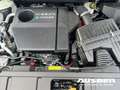 Nissan X-Trail N-Connecta e-4orce 1.5 VC-T e-Power 5Sitze Panoram Weiß - thumbnail 13