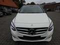 Mercedes-Benz B 200 d Urban AHK,Navi,DISTRONIC Pano,Night-P usw. Weiß - thumbnail 14