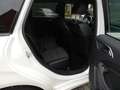 Mercedes-Benz B 200 d Urban AHK,Navi,DISTRONIC Pano,Night-P usw. Weiß - thumbnail 10