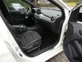 Mercedes-Benz B 200 d Urban 7G-DCT PANO Night-P AHK Navi DISTR Weiß - thumbnail 11