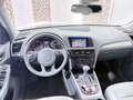 Audi Q5 2,0 TDI Quattro TEMPO NAVI SITZ.H RÜCKFAHRK. Gris - thumbnail 9