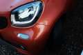 smart forFour 0.9 66kW passion KLIMA PANORAMA SITZHEIZ Orange - thumbnail 11