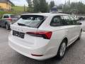 Skoda Octavia Combi 2,0 TDI Ambition Weiß - thumbnail 4