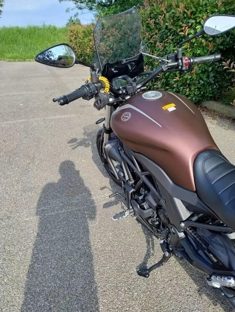 Benelli 502C Marrone - 2