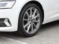 Audi A6 Avant 50 TFSI e quattro Advanced LM20 Parkass. ... Blanc - thumbnail 15