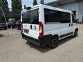 Fiat Ducato 30 L1H1 140 Panorama Weiß - thumbnail 6