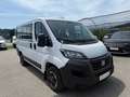 Fiat Ducato 30 L1H1 140 Panorama Weiß - thumbnail 4