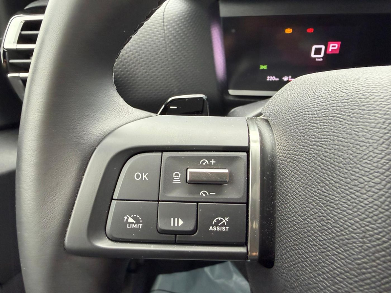 Citroen C4 1.2 PureTech 130 Max LED+Navi+SHZ+2xKlima+LM — photo 7