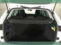 Skoda Kamiq 1.0 tsi black dots 115cv Bianco - thumbnail 15