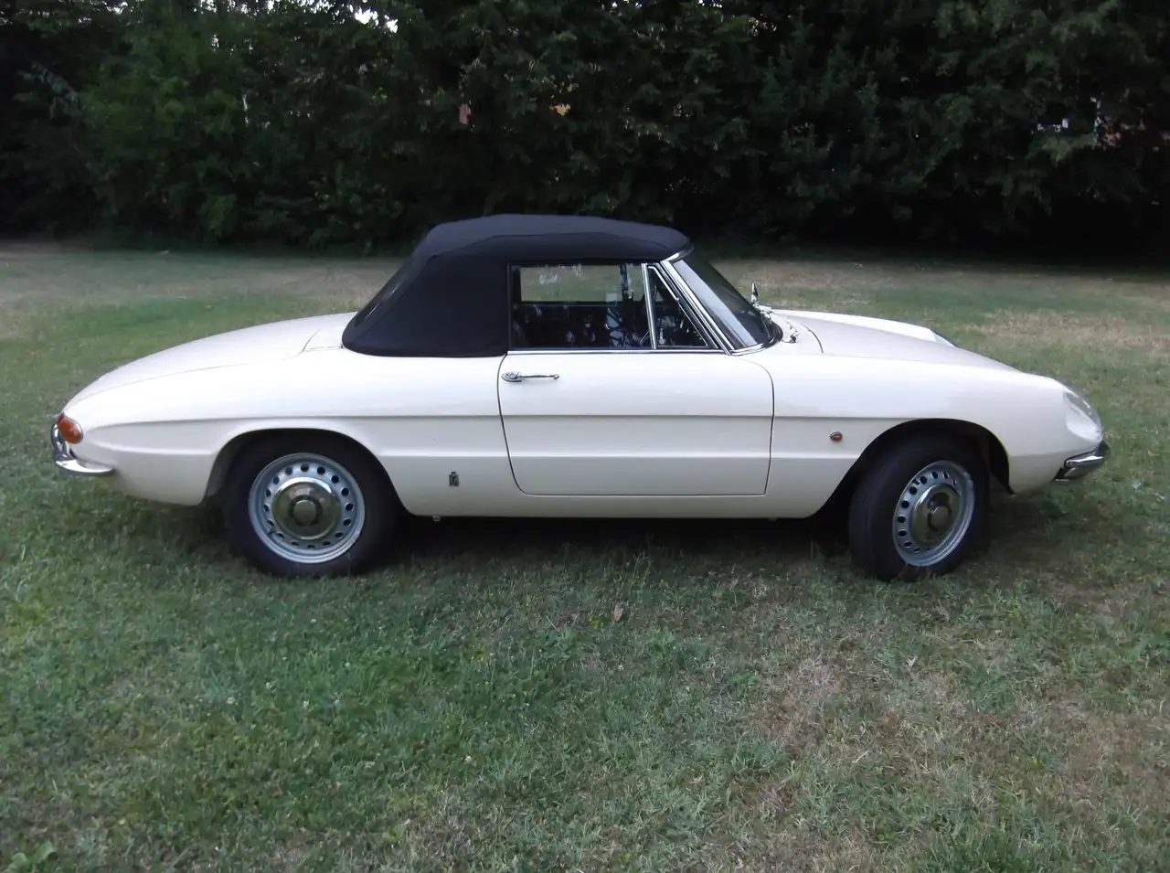 Alfa Romeo Spider Duetto, foto 1