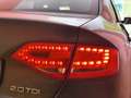 Audi A4 AUDI A4 2.0 TDI 120 CV F.AP. START PLUS Grigio - thumbnail 9