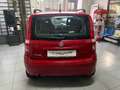 Fiat Panda 1.1 Active GARANZIA 24 MESI Rot - thumbnail 3