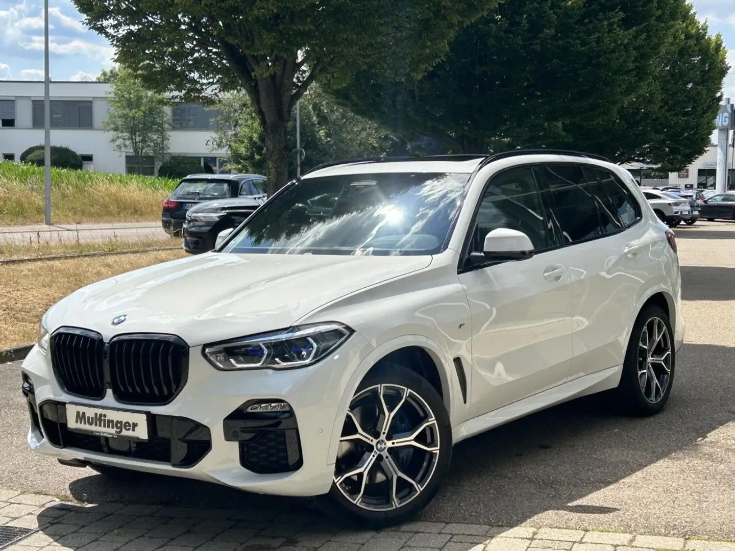 BMW X5 x30d M Sport ACC SuView Laser HUD H/K.AHK 21" Weiß - 2
