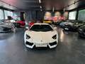 Lamborghini Aventador LP 700-4*Capristo*New Service*Lift*V12 Weiß - thumbnail 8