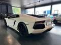Lamborghini Aventador LP 700-4*Capristo*New Service*Lift*V12 Weiß - thumbnail 3