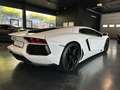 Lamborghini Aventador LP 700-4*Capristo*New Service*Lift*V12 Weiß - thumbnail 5