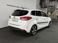 Kia Carens Spirit Aut. Vollleder Kamera ACC Keyless Weiß - thumbnail 5