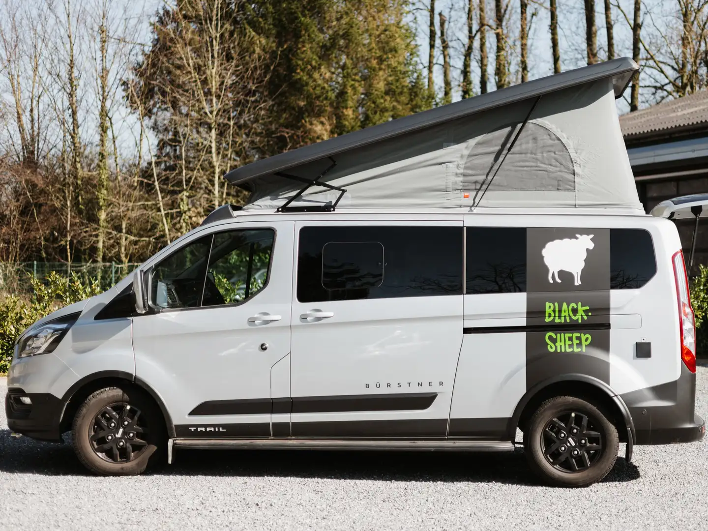 Ford Transit Custom Ford Copa C530 Bahia Trail Grijs - 2