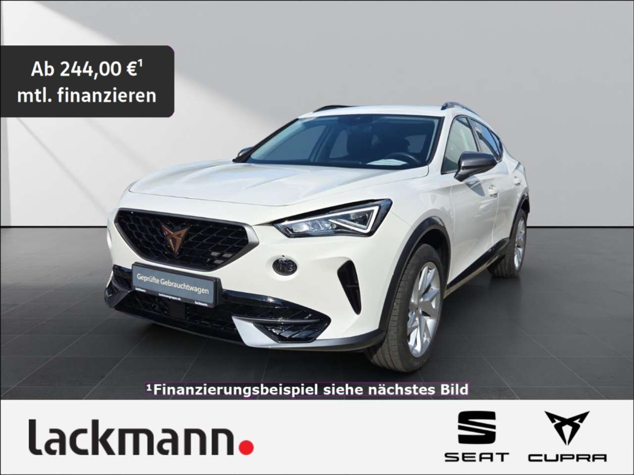 Cupra Formentor 2023 — 1.5 Basis*Voll-LED*Winterpaket*