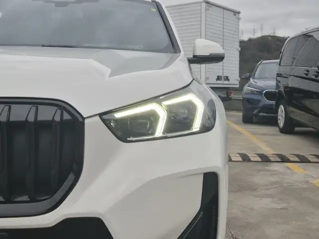 BMW X1 view 11