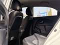 Kia Rio 1.2 Concept Blanco - thumbnail 15