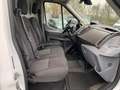 Ford Ford Transit 350 L3 H2 Trend 4x4 Allrad !-AHK- Bianco - thumbnail 12
