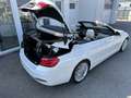 BMW 420 d Cabrio Luxury Line Weiß - thumbnail 19