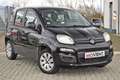 Fiat Panda 1.2 Pop Negro - thumbnail 3