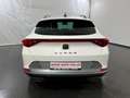 CUPRA Formentor 1.4 eTSI DSG *LED*ACC*SHZ* Weiß - thumbnail 6