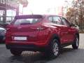 Hyundai TUCSON 1.6 GDI Klima USB Bluetooth Rot - thumbnail 5