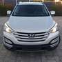 Hyundai SANTA FE 2.2 CRDI 4WD Premium - thumbnail 18