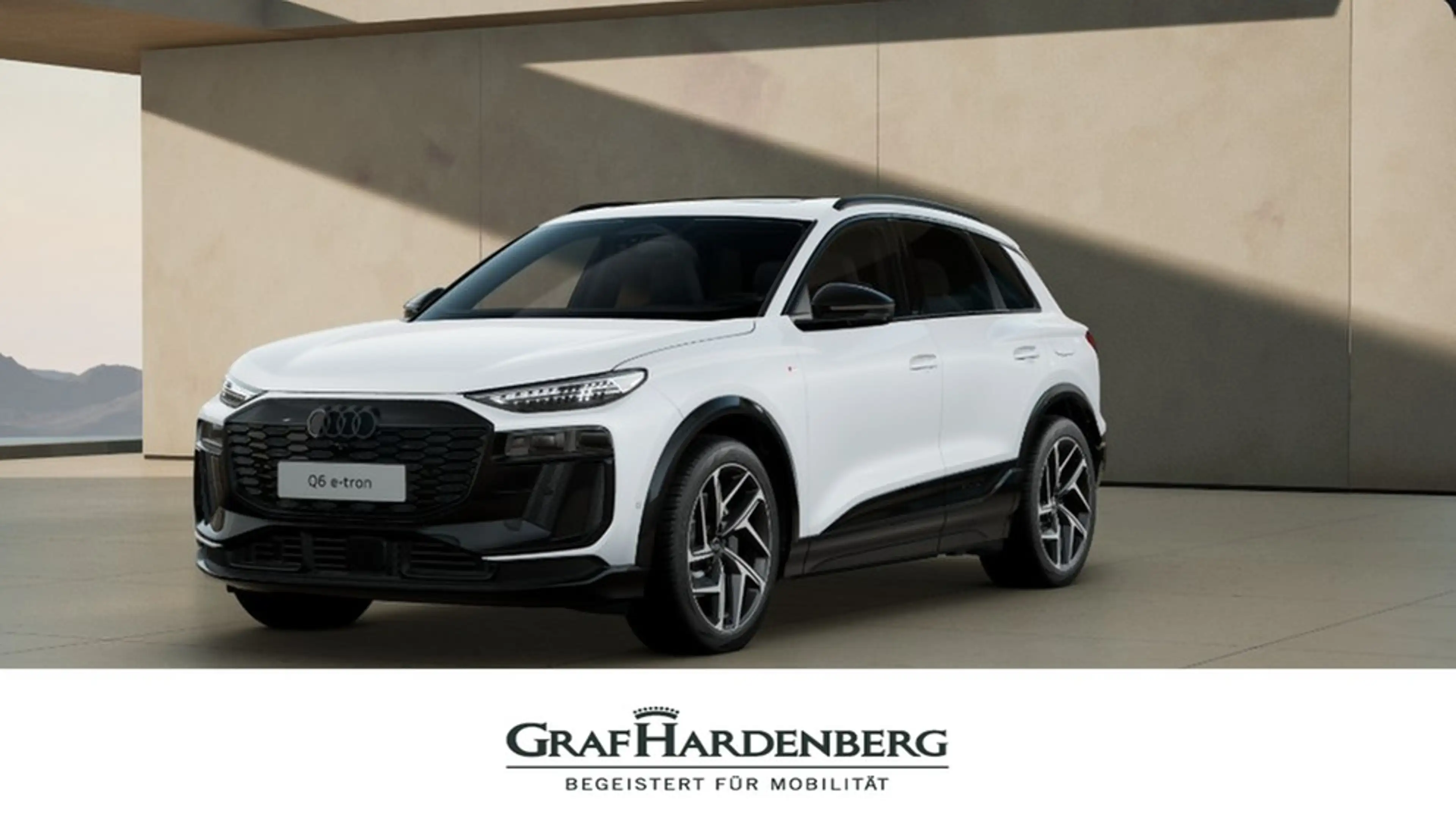 Audi e-tron performance 225 kW AHK, Pano, Tech pro
